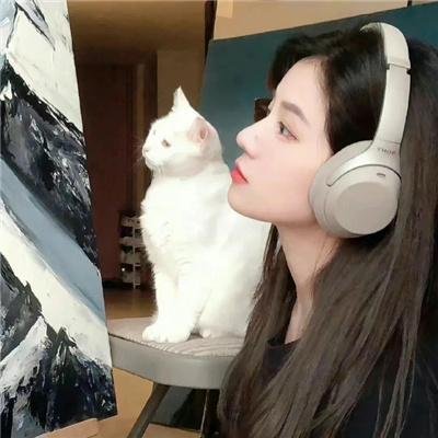 朝鲜精神科医师刘世丰第二季特辑